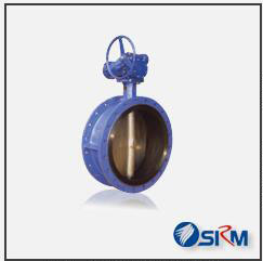 法蘭式襯膠蝶閥